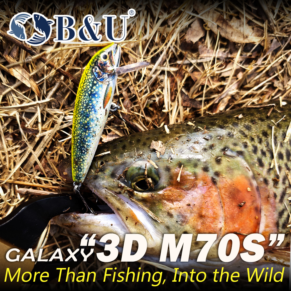 B&U Fishing Lures Sinking Minn - Fishing Lure Swimbait 리뷰 및 가격